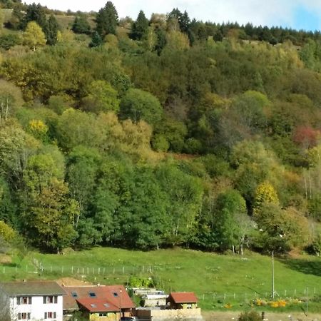 Les Lupins Bed & Breakfast Geishouse Dış mekan fotoğraf