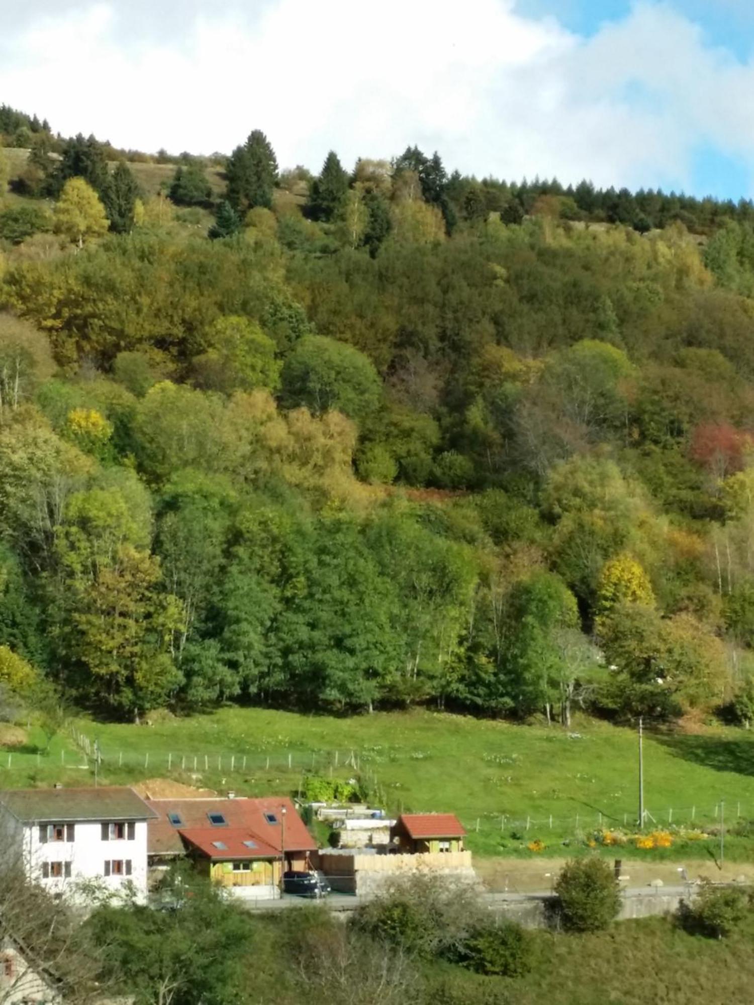 Les Lupins Bed & Breakfast Geishouse Dış mekan fotoğraf