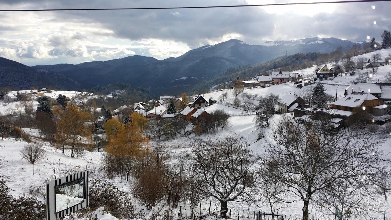 Les Lupins Bed & Breakfast Geishouse Dış mekan fotoğraf