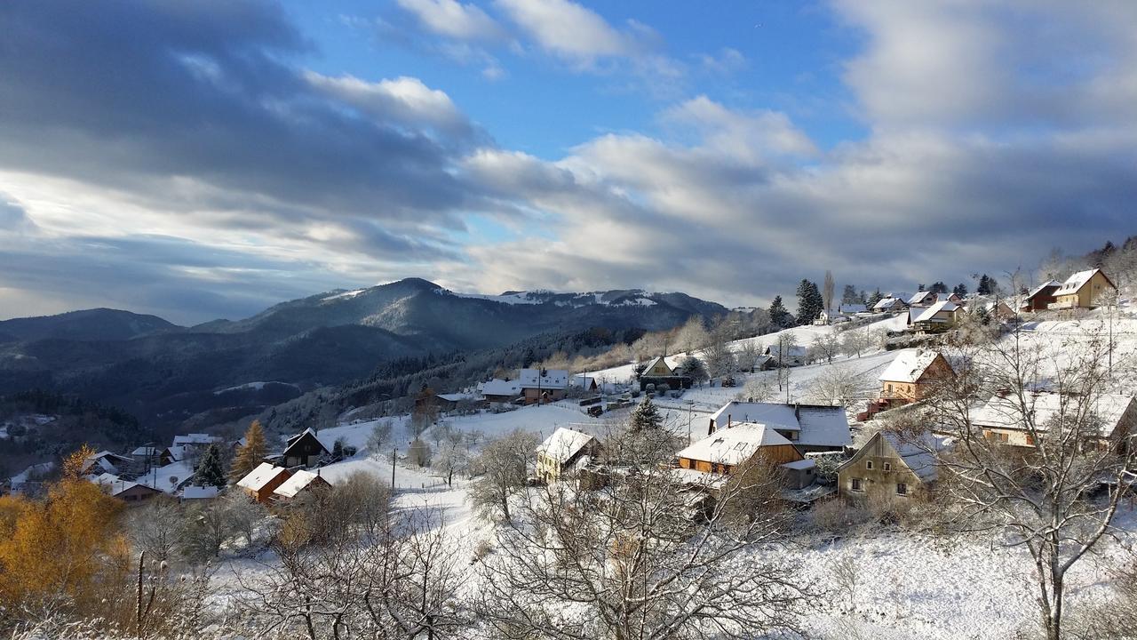 Les Lupins Bed & Breakfast Geishouse Dış mekan fotoğraf