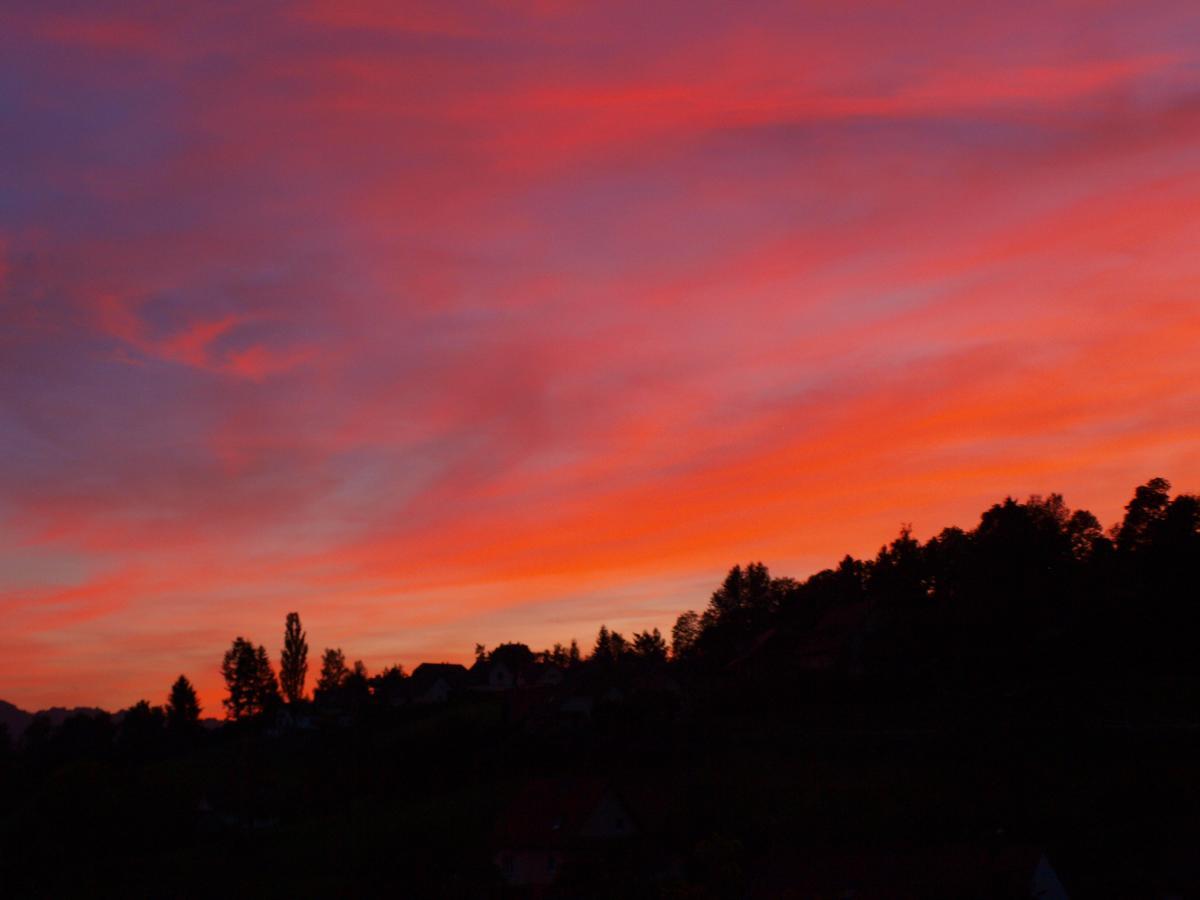 Les Lupins Bed & Breakfast Geishouse Dış mekan fotoğraf