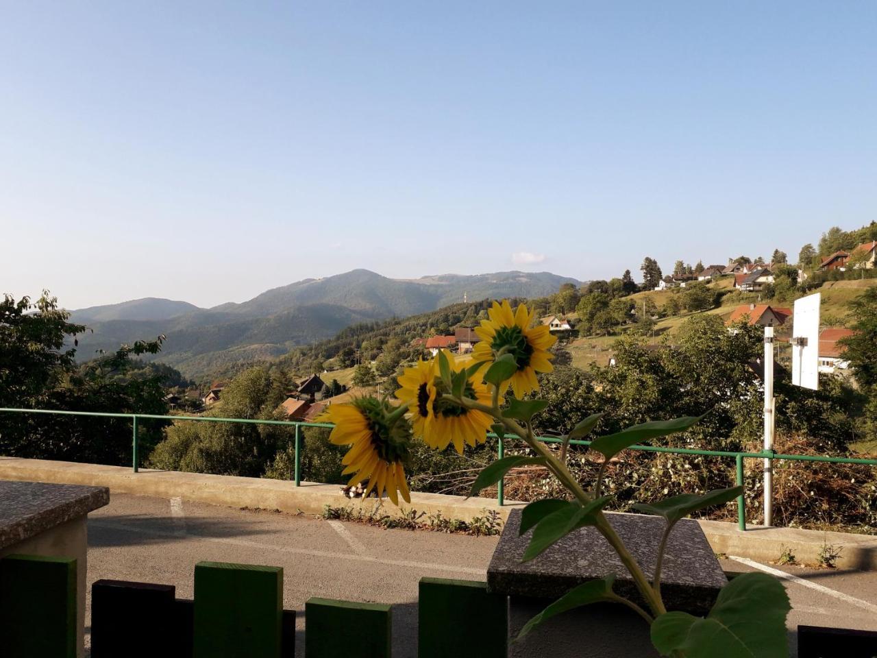 Les Lupins Bed & Breakfast Geishouse Dış mekan fotoğraf